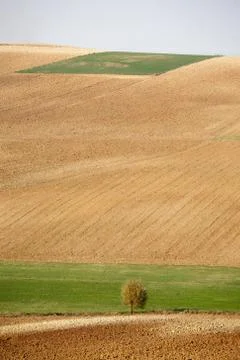 Countryside landscape Stock Photos