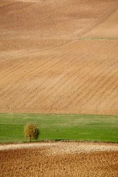 Countryside landscape Stock Photos
