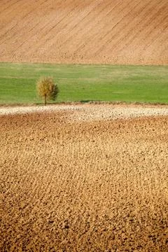 Countryside landscape Stock Photos