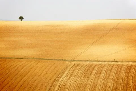 Countryside landscape Stock Photos