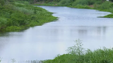 Countryside landscape with river. Stock Footage 134329602