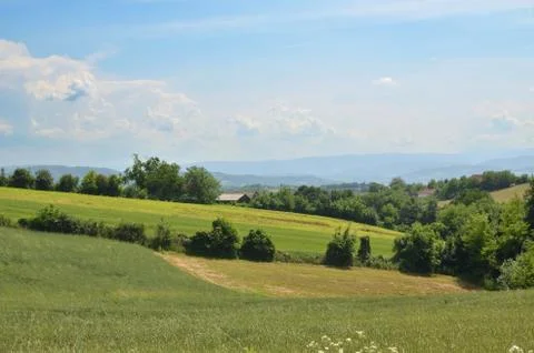 Countryside landscape in spring Stock Photos