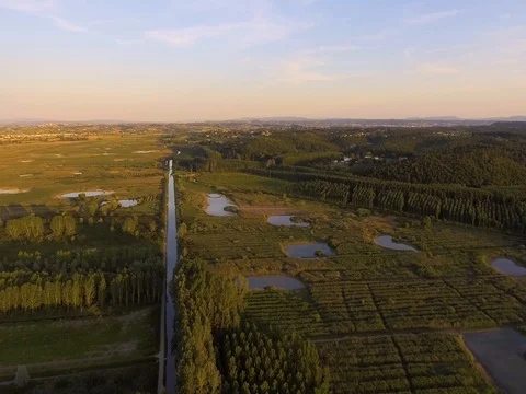 Countryside landscape on sunset with marshy fields, small river and wood Stock Footage 76270625