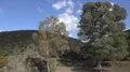 Countryside landscape with trees, hills, blue sky and clouds in Portugal 4k or 4k+ Resolution