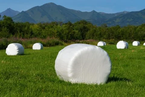 Countryside landscape, view of haystack packed in white pulp packaging Stock-Fotos