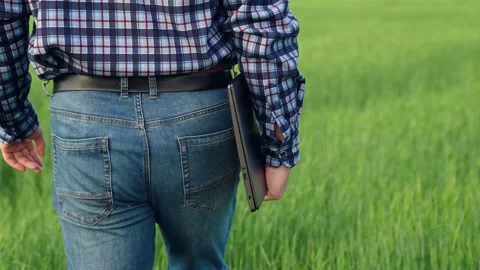 Countryside, laptop leg hand work, walking wheat field, senior farmer worker Vidéo 246336816