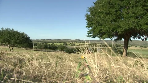 Countryside-Low Angle Stock Footage 62686521