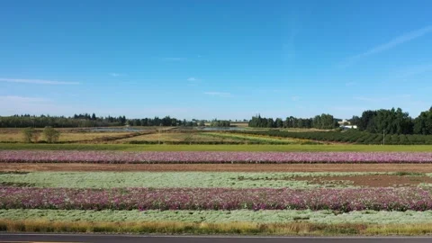 Countryside Overview Stock Footage 285805025