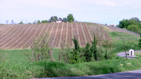Countryside panorama Stock Footage 167568909