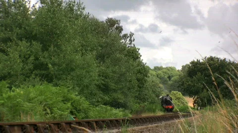Countryside Passengers on Steam Train Stock Footage 485774