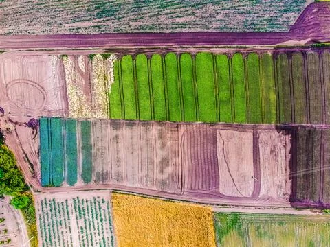 Countryside patchwork fields landscape from an aerial view 스톡 사진
