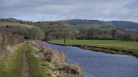 Countryside path Stock Footage 313527782