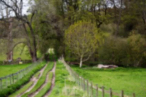 Countryside path going downhill through trees Out of focus. Stock Photos