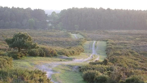 Countryside path in golden hour in Devon. Stock Footage 102977902
