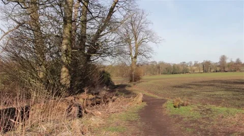 Countryside Path next to Field - Rural Scene Stock-Footage 48987855