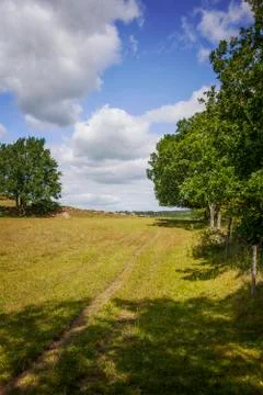 Countryside path 스톡 사진