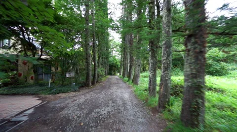 Countryside path surrounded by trees (double speed) Stock Footage 67397308