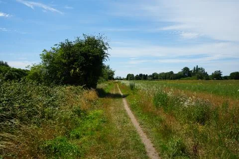 Countryside Path Through Green Fields In Morton, Nottinghamshire, England. Stock Photos