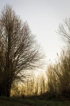 Countryside pathway at sunset Stock Photos