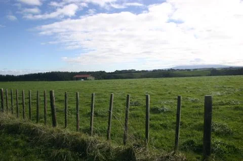 Countryside Stock Photos