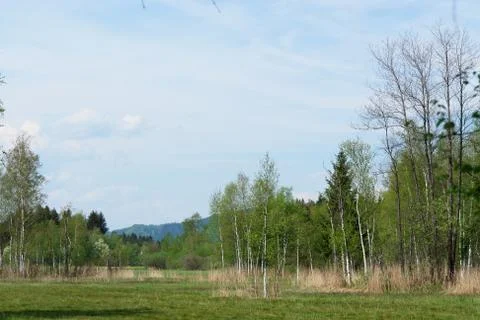 Countryside Stock Photos