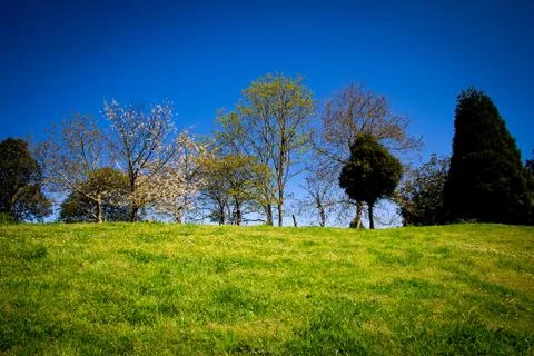 Countryside Stock Photos