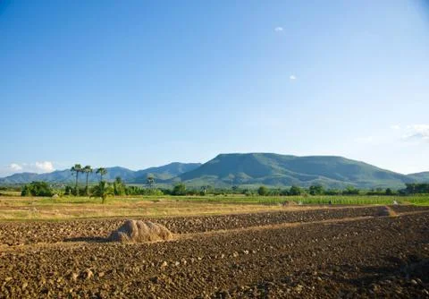 Countryside Stock Photos