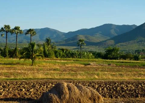 Countryside Stock Photos