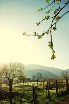 Countryside Foto stock