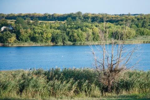 Countryside Stock Photos