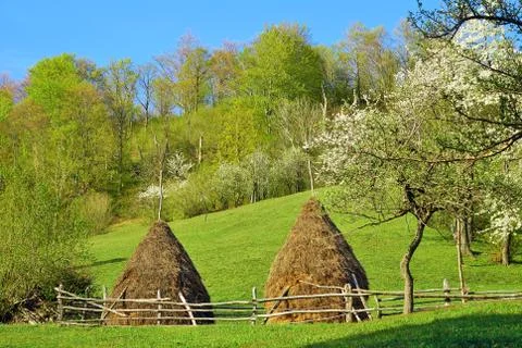 Countryside Stock Photos