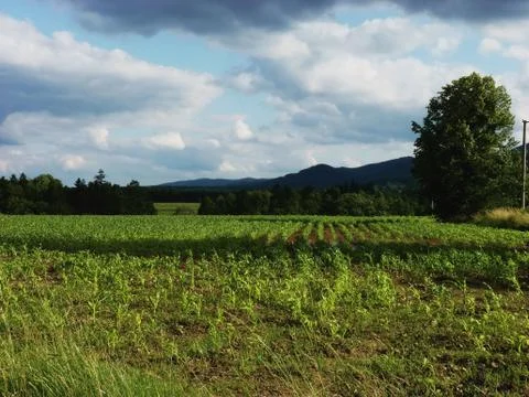 Countryside Stock Photos