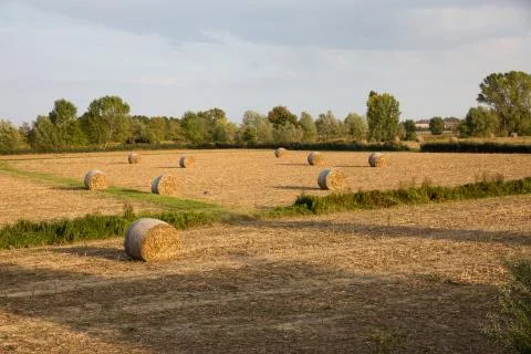 Countryside Stock Photos