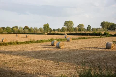 Countryside Stock Photos