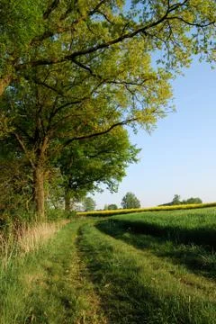 Countryside Stock Photos