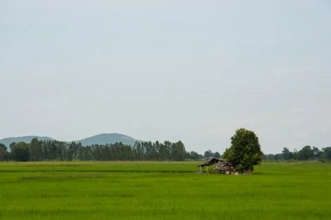 Countryside Stock Photos