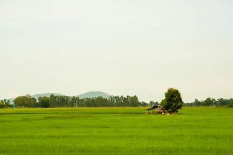 Countryside Stock Photos