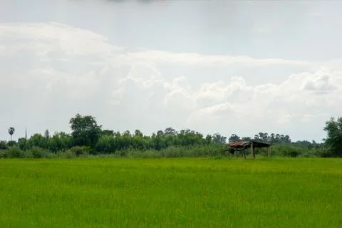 Countryside Stock Photos