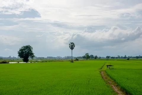 Countryside Stock Photos