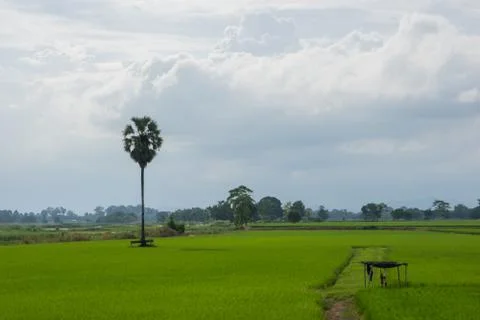 Countryside Stock Photos