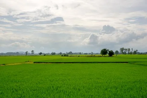 Countryside Stock Photos