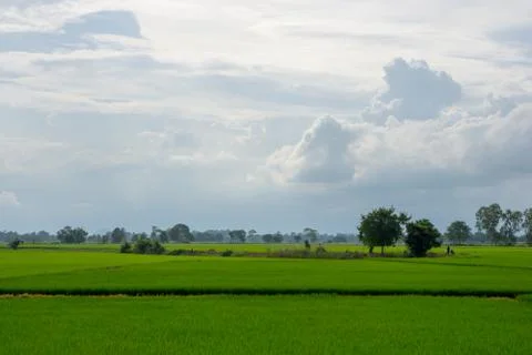 Countryside Stock Photos