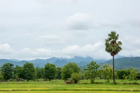 Countryside Stock Photos