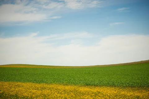 Countryside Stock Photos