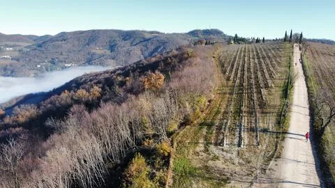 Countryside 스톡 사진