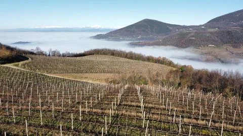 Countryside 스톡 사진