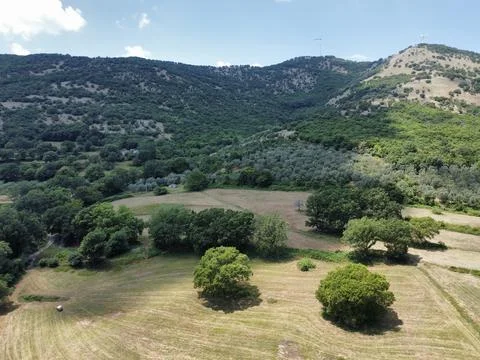 Countryside Stock Photos