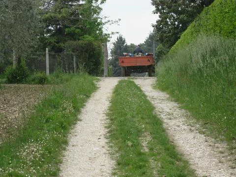 Countryside Stock Photos
