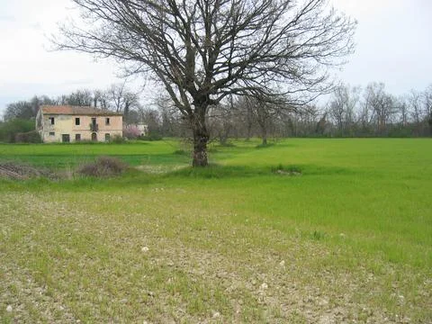 Countryside Stock Photos