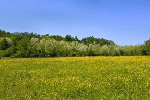 Countryside Stock Photos